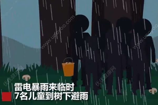 云南7名兒童上山撿菌子，樹下避雨時不幸遭雷擊(1)