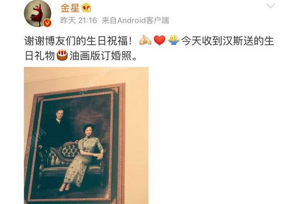 金星復(fù)婚穿潔白婚紗和老公舉辦婚禮，金星漢斯離婚原因曝光(3)