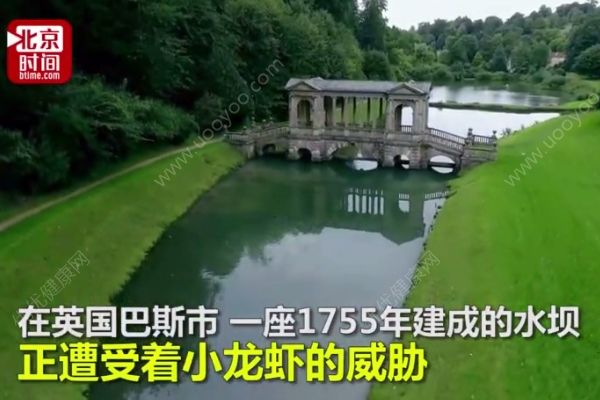 10萬小龍蝦圍攻英國水壩，政府斥巨資展開防御(2)