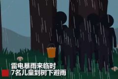 云南7名兒童上山撿菌子，樹下避雨時不幸遭雷擊[多圖]