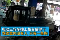 電動(dòng)三輪車突然沖進(jìn)手機(jī)店，“肇事者”卻是條狗[多圖]