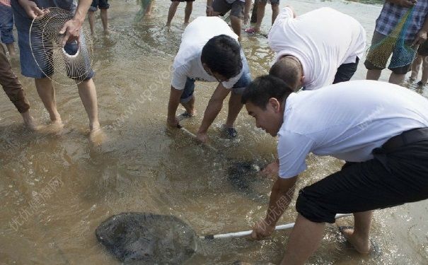 發(fā)洪水怎么抓魚？發(fā)洪水時的抓魚方法(5)