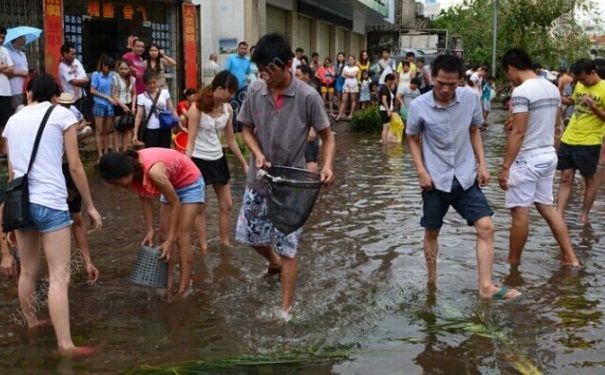 發(fā)洪水怎么抓魚？發(fā)洪水時的抓魚方法(6)