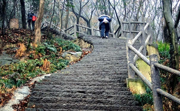 爬山瘦哪里？爬山能減肚子嗎？(1)