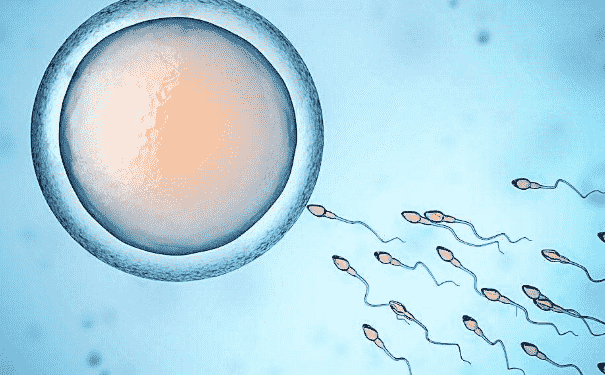 男性得弱精癥是什么原因？男性精子變?nèi)跏鞘裁匆鸬模?1)