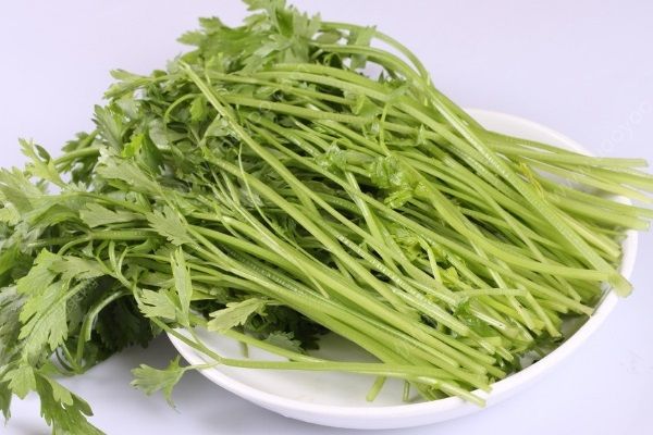 芹菜的家常營(yíng)養(yǎng)吃法有哪些？芹菜的營(yíng)養(yǎng)食譜有哪些？(2)