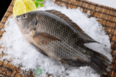 羅非魚的營養(yǎng)價(jià)值有什么？羅非魚的食用方法有什么？[圖]