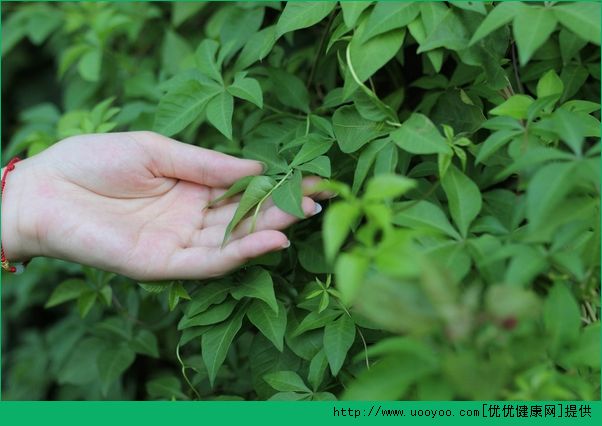 皮膚能整容美白嗎？整容能讓皮膚變白嗎？(4)