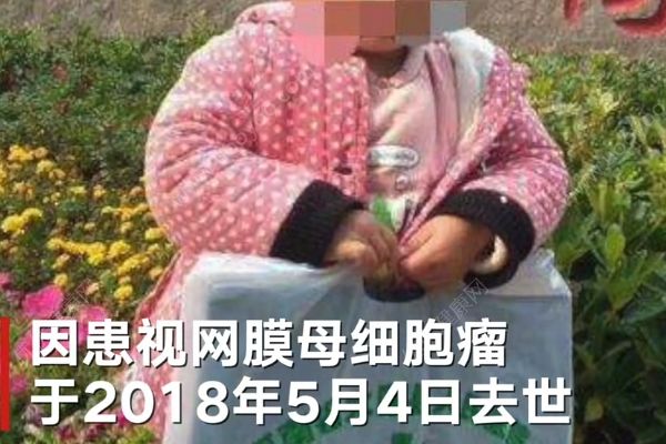 眼癌詐捐事件還原：家人不接受陳嵐道歉(2)