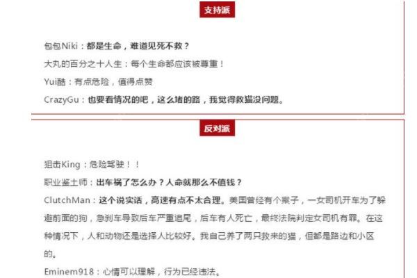 女司機高架上停車救小貓，應(yīng)該救還是不救？高架橋開車注意事項(3)