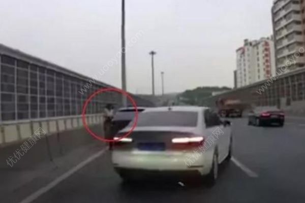 女司機高架上停車救小貓，應(yīng)該救還是不救？高架橋開車注意事項(4)