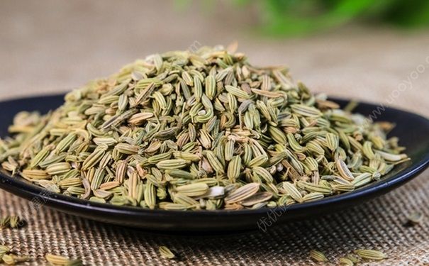 經(jīng)期可以吃茴香嗎？經(jīng)期吃茴香有什么影響？(3)