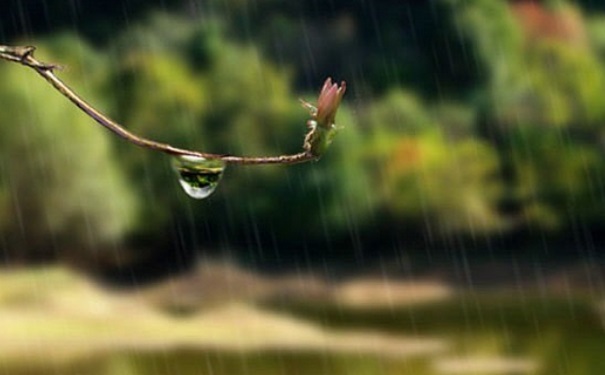 梅雨季節(jié)如何防潮？梅雨季節(jié)房間潮濕怎么辦？(1)