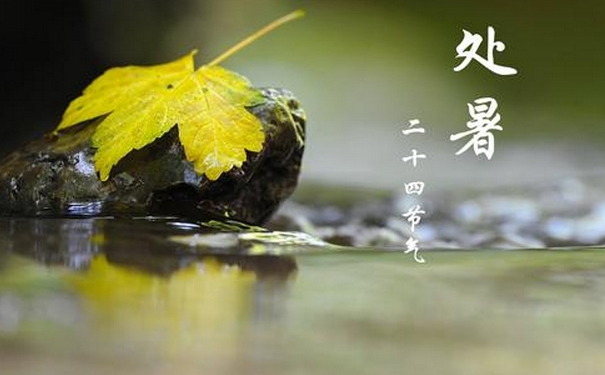 處暑之后還會(huì)不會(huì)熱？處暑后吃什么養(yǎng)生？(1)