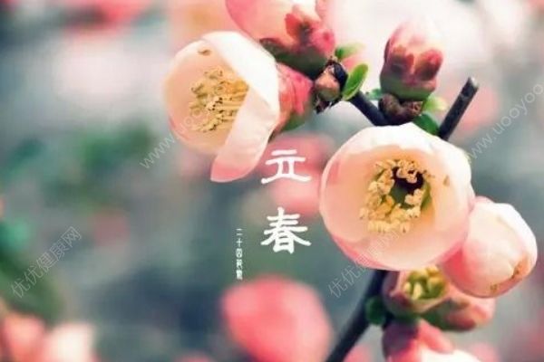 立春為什么要吃春卷？立春節(jié)氣有什么習(xí)俗？(1)