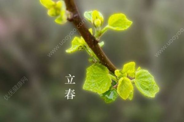 立春養(yǎng)生攻略有哪些？立春養(yǎng)肝有哪些方法？(1)