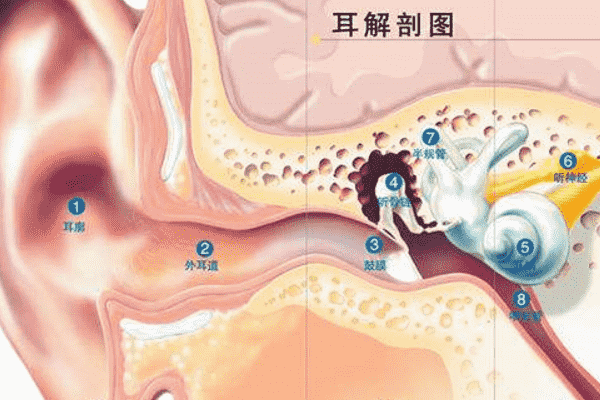 經常挖耳屎影響很大！一招解決耳屎煩惱(1)