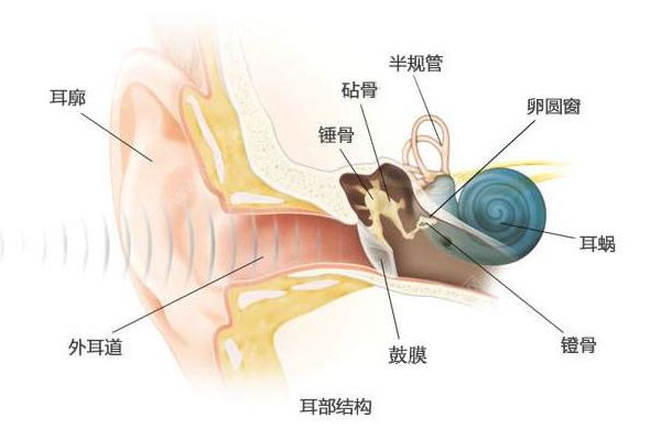 經常挖耳屎影響很大！一招解決耳屎煩惱(2)