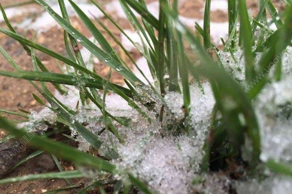 中央氣象臺又發(fā)布藍色暴雪預警，倒春寒要來了嗎？(4)