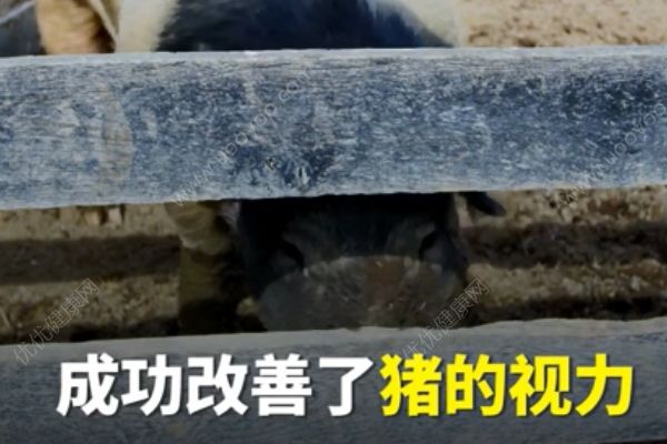 納米眼藥水有望取代眼鏡！以后都不用做小四眼了？(4)