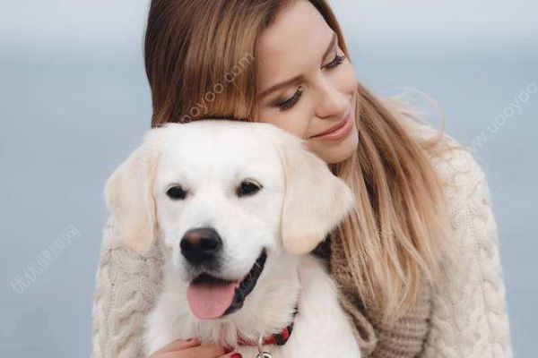 18歲老年癡呆柴犬離世，“親愛(ài)的貓，謝謝你用生命愛(ài)過(guò)我”(4)