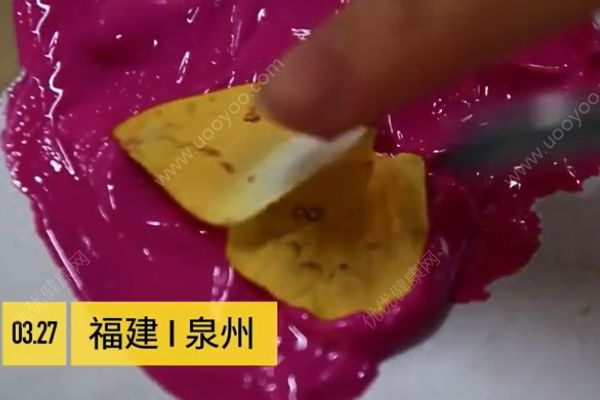 用活蝴蝶做畢業(yè)設(shè)計！是藝術(shù)還是殘忍？(1)