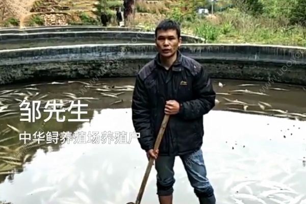 萬(wàn)條中華鱘一夜死亡！警方初定系遭人投毒！(2)