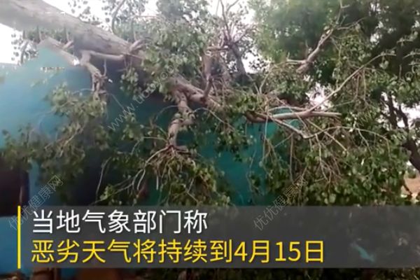 印度暴雨泰姬陵遭嚴重毀壞！已造成至少12人死亡！(4)