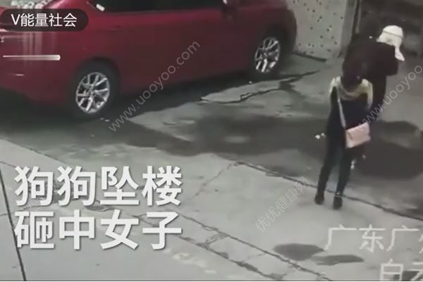 高空墜狗路過女子被砸傷，結(jié)果狗卻活著，如何防止高空拋物？(1)