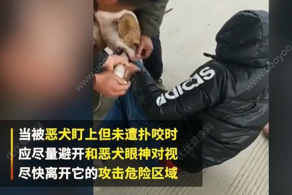 惡犬撲咬無路逃！下一步你該咋辦？(1)