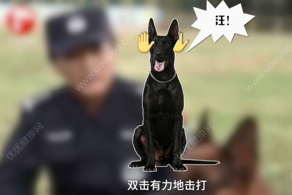 惡犬撲咬無路逃！下一步你該咋辦？(2)