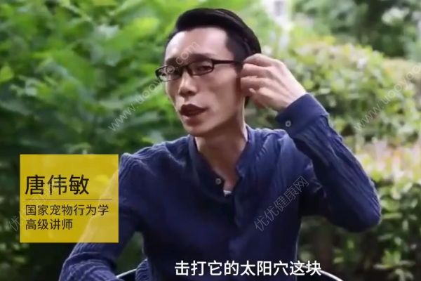 惡犬撲咬無路逃！下一步你該咋辦？(3)