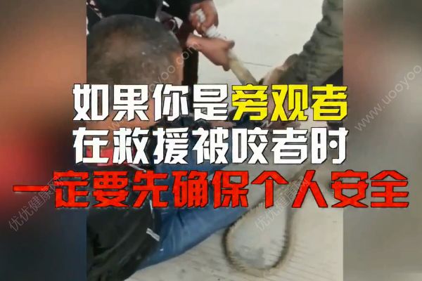 惡犬撲咬無路逃！下一步你該咋辦？(4)