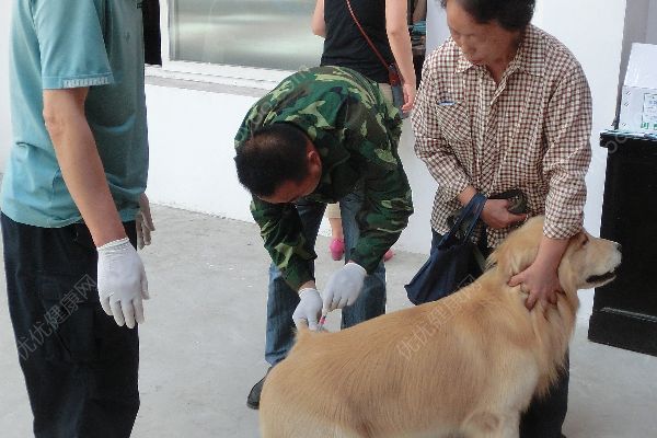 河北邯鄲兩男童遭小區(qū)內(nèi)惡犬襲擊，致身體多處被咬傷(4)