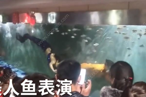 女孩海洋館扮美人魚！冬天長時間泡在水里有何危害？(1)