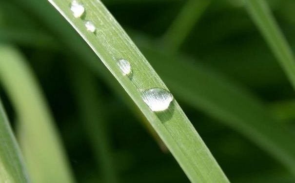 雨水節(jié)氣怎么養(yǎng)生？雨水節(jié)氣調神養(yǎng)生的方法有哪些？(1)