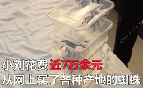 電熱毯燒死寵物 如何防止電熱毯短路？(1)