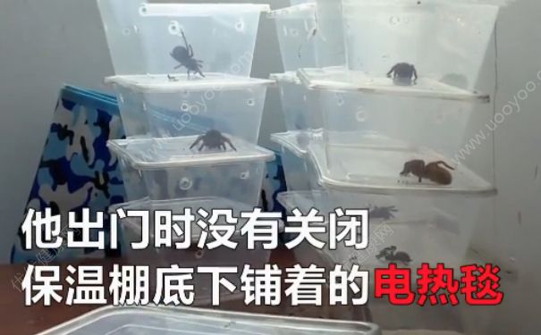 電熱毯燒死寵物 如何防止電熱毯短路？(3)