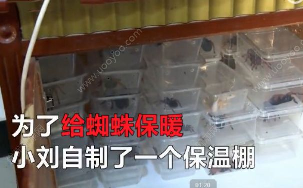 電熱毯燒死寵物 如何防止電熱毯短路？(4)