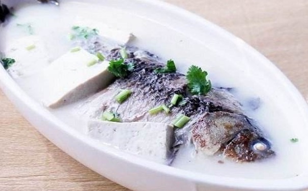 鯽魚(yú)豆腐湯有哪些營(yíng)養(yǎng)？鯽魚(yú)豆腐湯的營(yíng)養(yǎng)價(jià)值有哪些？(1)