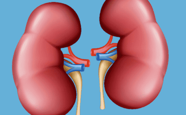 如何判斷腎好不好？腎病的信號是什么？(1)
