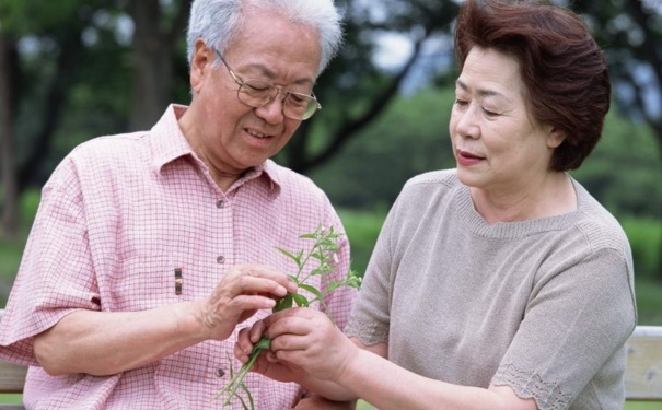 中老年人消化不好怎么辦？消化不好的調(diào)理方法有哪些？(1)