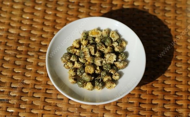 菊花茶能降血壓嗎？菊花茶能降血脂嗎？(1)