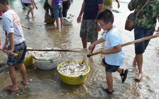 洪水里的魚能吃嗎？洪水里的魚可不可以吃？(2)