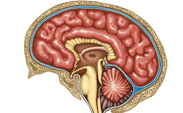 大腦發(fā)育不良要怎么治療？怎么有效的治療大腦發(fā)育不良？(1)