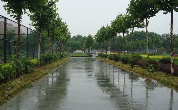 淋雨為什么會感冒？淋雨后怎么預(yù)防感冒？(1)