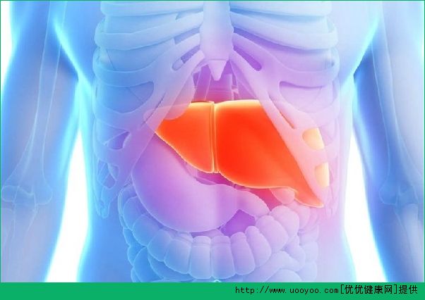 肝臟如何保養(yǎng)？教你生活中的保健方法(1)