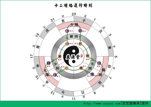 十二正經(jīng)是什么意思？十二正經(jīng)從哪里分左右?(1)