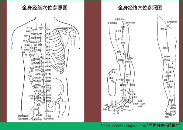 經絡穴位怎么背？速記經絡穴位方法(2)