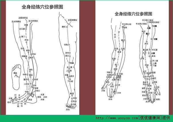 經絡穴位怎么背？速記經絡穴位方法(4)